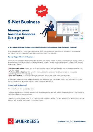 S-Net Business activation guide